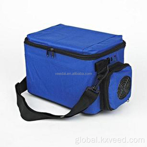 car cooler bag 5L picnic fridge bag car cooler warmer box Supplier